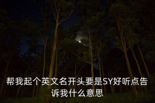 幫我起個(gè)英文名開頭要是SY好聽點(diǎn)告訴我什么意思