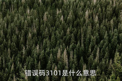 錯(cuò)誤碼3101是什么意思