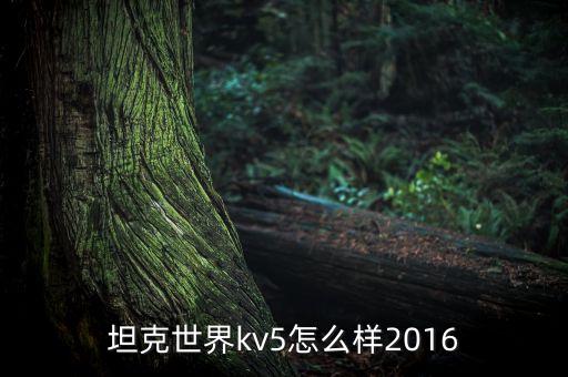 坦克世界kv5怎么樣2016