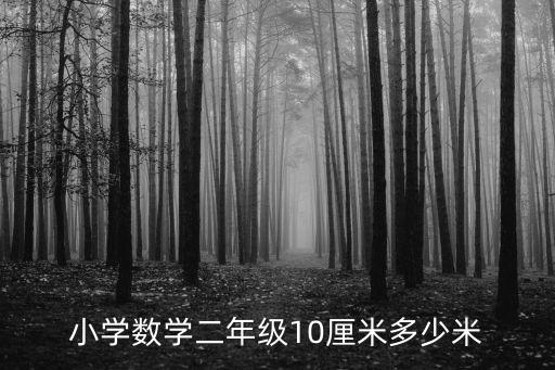 小學數(shù)學二年級10厘米多少米