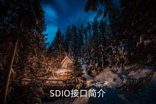 SDIO，SDIO接口簡介