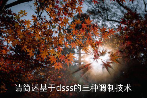 請簡述基于dsss的三種調(diào)制技術(shù)