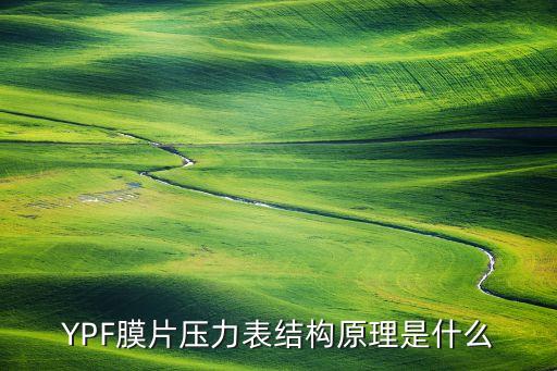 壓力表原理，YPF膜片壓力表結(jié)構(gòu)原理是什么