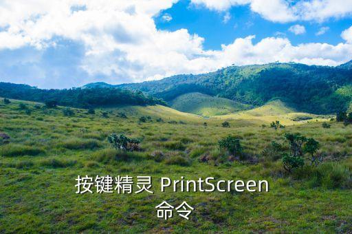 按鍵精靈 PrintScreen 命令