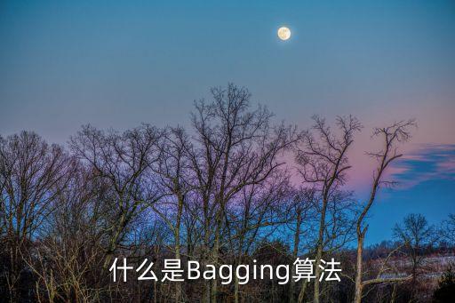 什么是Bagging算法