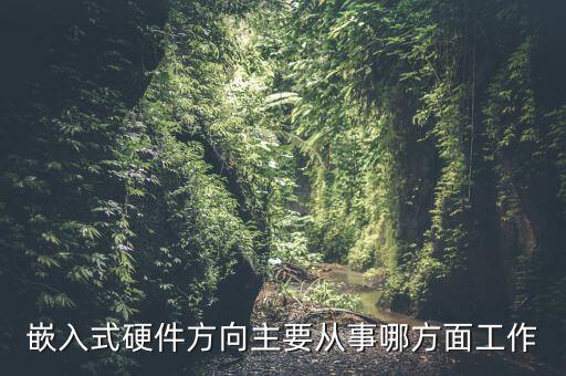 嵌入式硬件，嵌入式硬件設(shè)計和一般的電子產(chǎn)品在硬件設(shè)計上有什么區(qū)別