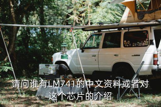 請問誰有LM741的中文資料或者對這個(gè)芯片的介紹