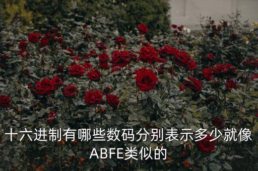 十六進制對照表，十六進制有哪些數(shù)碼分別表示多少就像ABFE類似的
