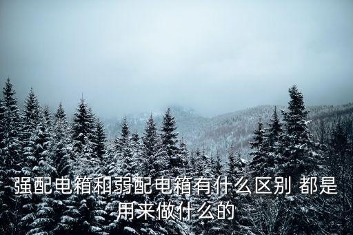 配電箱圖片，強(qiáng)配電箱和弱配電箱有什么區(qū)別 都是用來做什么的