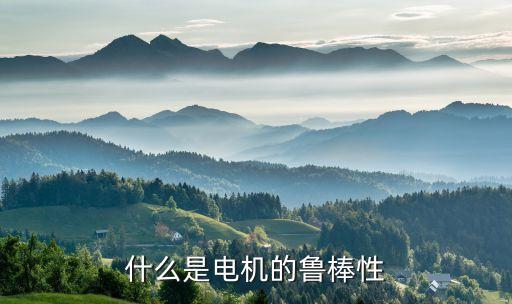 什么是電機的魯棒性