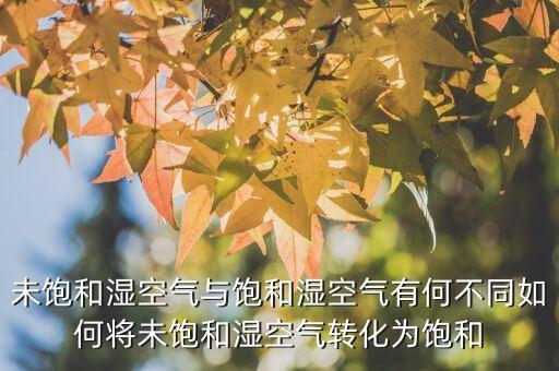 未飽和濕空氣與飽和濕空氣有何不同如何將未飽和濕空氣轉(zhuǎn)化為飽和