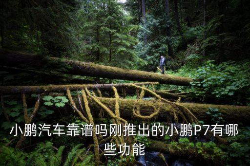小鵬汽車靠譜嗎剛推出的小鵬P7有哪些功能