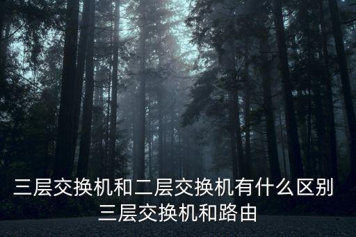 三層交換機(jī)和二層交換機(jī)有什么區(qū)別 三層交換機(jī)和路由