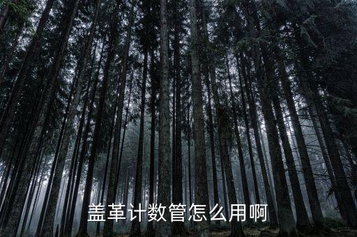蓋革計(jì)數(shù)管怎么用啊