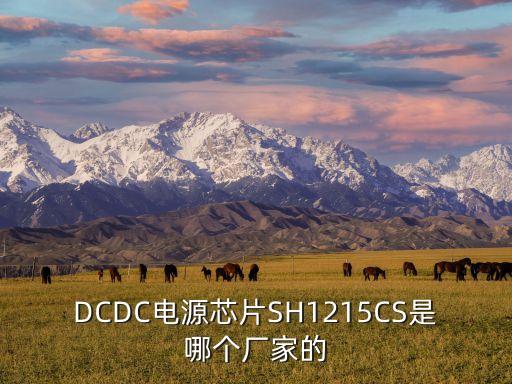 DCDC電源芯片SH1215CS是哪個(gè)廠家的