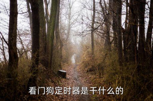 看門狗定時器是干什么的