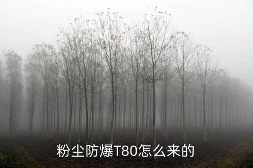 粉塵防爆T80怎么來的