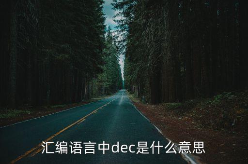 dec指令，匯編語(yǔ)言中dec是什么意思