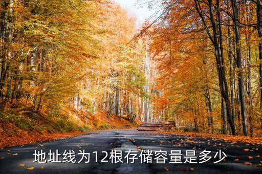 地址線為12根存儲(chǔ)容量是多少