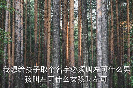 我想給孩子取個名字必須叫左可什么男孩叫左可什么女孩叫左可