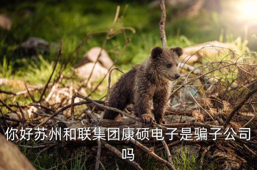 你好蘇州和聯(lián)集團(tuán)康碩電子是騙子公司嗎