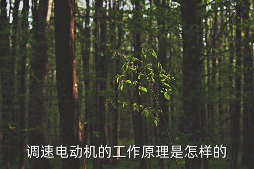 調(diào)速電動機(jī)的工作原理是怎樣的