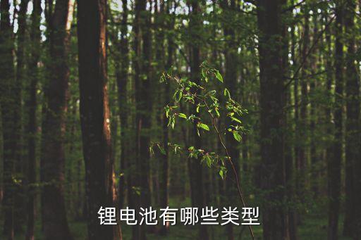 鋰電池有哪些類型