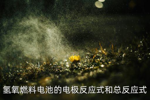 氫氧燃料電池電極反應式，在氫氧燃料電池中正負極的化學反應式