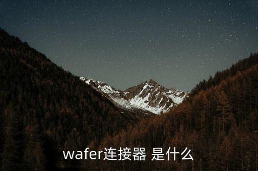 wafer連接器 是什么