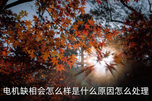 電機(jī)缺相會(huì)怎么樣是什么原因怎么處理