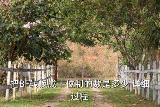 把BF轉(zhuǎn)換成十位制的數(shù)是多少 詳細(xì)過(guò)程