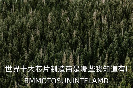 世界十大芯片制造商是哪些我知道有IBMMOTOSUNINTELAMD