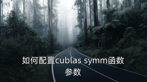 如何配置cublas symm函數(shù)參數(shù)