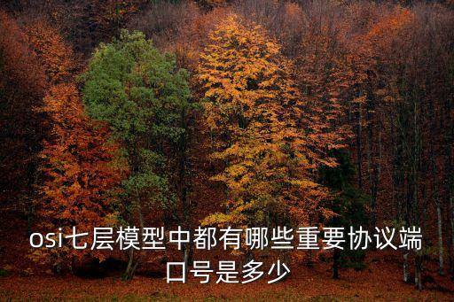 osi七層協(xié)議，osi七層模型是什么