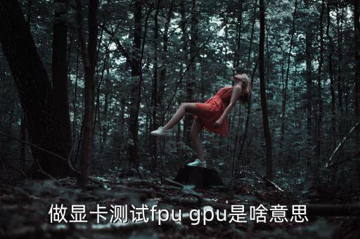 做顯卡測試fpu gpu是啥意思