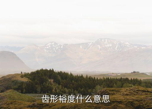 裕度，齒形裕度什么意思