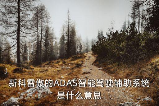 新科雷傲的ADAS智能駕駛輔助系統(tǒng)是什么意思