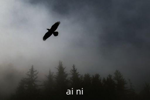 ai ni