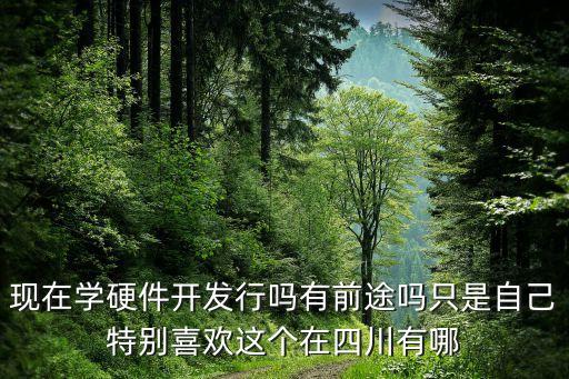 現(xiàn)在學硬件開發(fā)行嗎有前途嗎只是自己特別喜歡這個在四川有哪