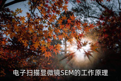 sem顯微鏡，SEMTEMXRDAESSTMAFM的區(qū)別