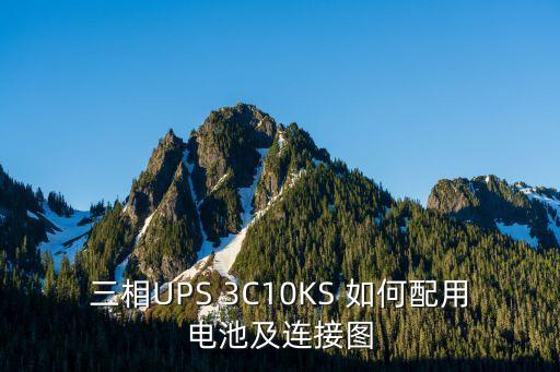 三相UPS 3C10KS 如何配用電池及連接圖