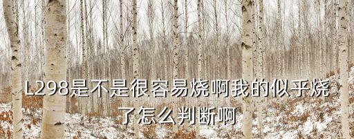 L298是不是很容易燒啊我的似乎燒了怎么判斷啊