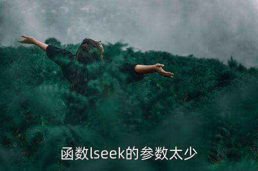 lseek，關(guān)于函數(shù)lseek的用法急