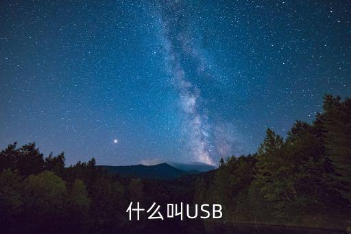 什么叫USB