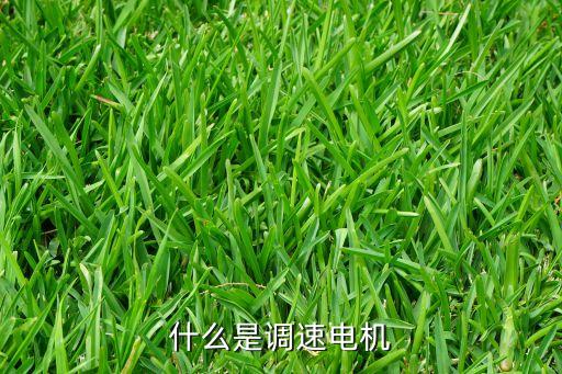 什么是調(diào)速電機(jī)