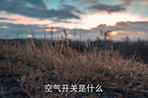 什么是空氣開關(guān)，空氣開關(guān)是什么