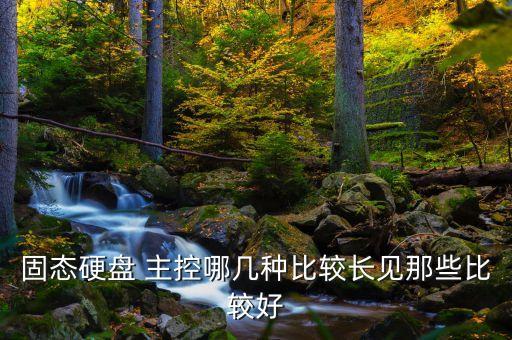 聯(lián)蕓主控，聯(lián)想U盤 主控是什么呢
