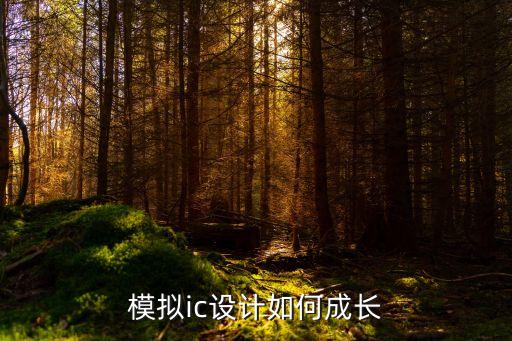 模擬ic，模擬ic設(shè)計如何成長