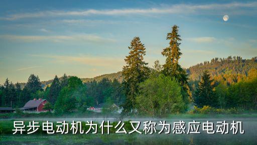 感應(yīng)電機(jī)，l洗衣機(jī)的感應(yīng)電機(jī)和普通電機(jī)有什么區(qū)別