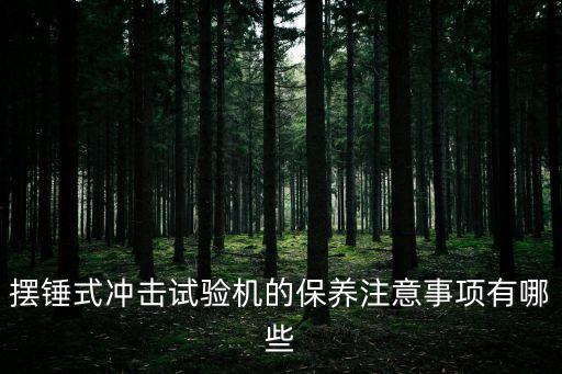 擺錘式?jīng)_擊試驗機的保養(yǎng)注意事項有哪些